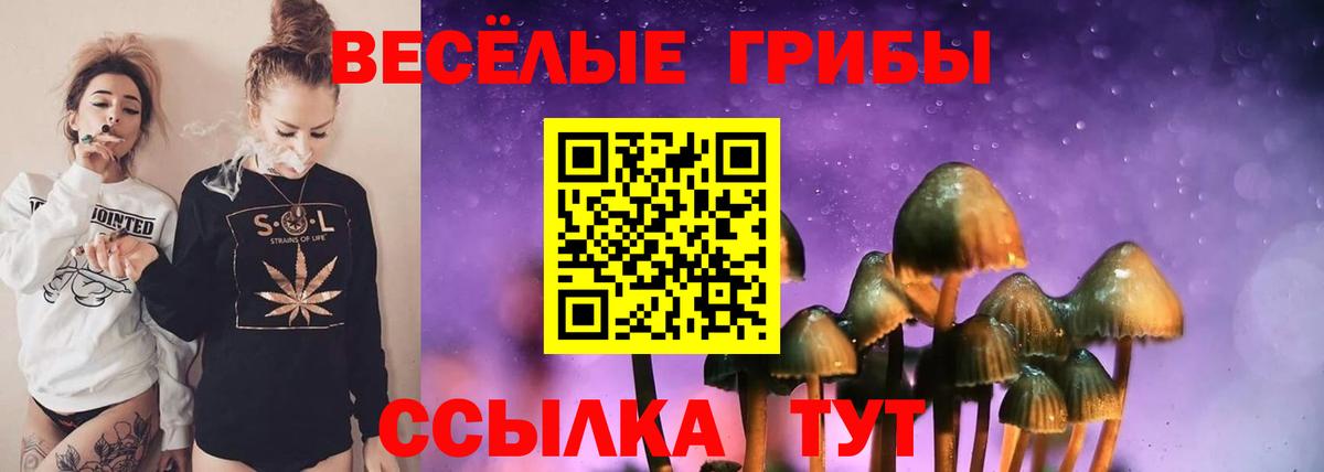 Псилоцибиновые грибы мухоморы  Галлюциногенные грибы прущие грибы  Ишим  Вход с VPN 